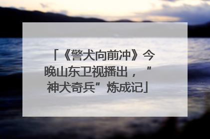 《警犬向前冲》今晚山东卫视播出，“神犬奇兵”炼成记