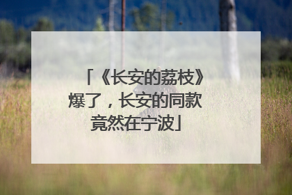 《长安的荔枝》爆了，长安的同款竟然在宁波