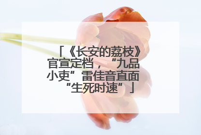 《长安的荔枝》官宣定档，“九品小吏”雷佳音直面“生死时速”
