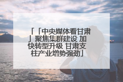 「中央媒体看甘肃」聚焦集群建设 加快转型升级 甘肃支柱产业增势强劲