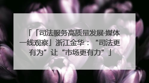 「司法服务高质量发展·媒体一线观察」浙江金华：“司法更有为”让“市场更有力”