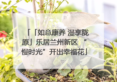 「如意康养 漫享陇原」乐居兰州新区 “慢时光”开出幸福花