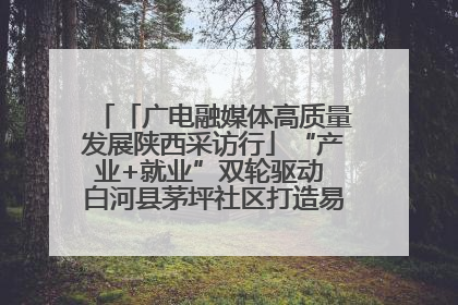「广电融媒体高质量发展陕西采访行」“产业+就业”双轮驱动 白河县茅坪社区打造易地搬迁后扶新样本