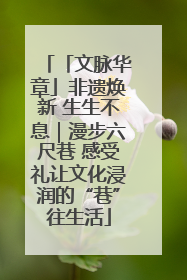 「文脉华章」非遗焕新 生生不息｜漫步六尺巷 感受礼让文化浸润的“巷”往生活