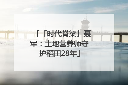 「时代脊梁」聂军：土地营养师守护稻田28年