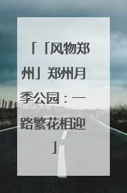 「风物郑州」郑州月季公园：一路繁花相迎