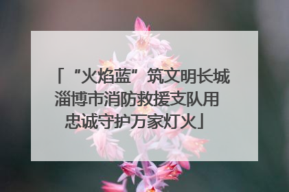 “火焰蓝”筑文明长城 淄博市消防救援支队用忠诚守护万家灯火