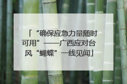 “确保应急力量随时可用”——广西应对台风“蝴蝶”一线见闻