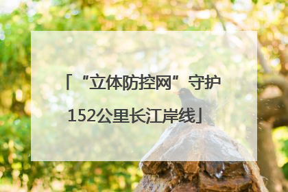 “立体防控网”守护152公里长江岸线