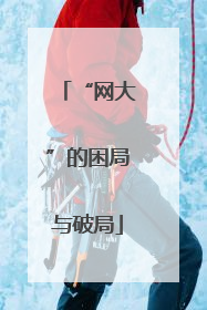 “网大”的困局与破局