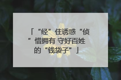“经”住诱惑“侦”惜拥有 守好百姓的“钱袋子”