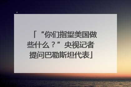 “你们指望美国做些什么？”央视记者提问巴勒斯坦代表