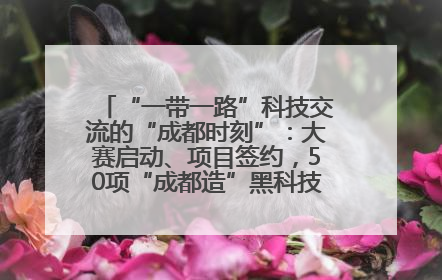 “一带一路”科技交流的“成都时刻”：大赛启动、项目签约，50项“成都造”黑科技吸引多国客商