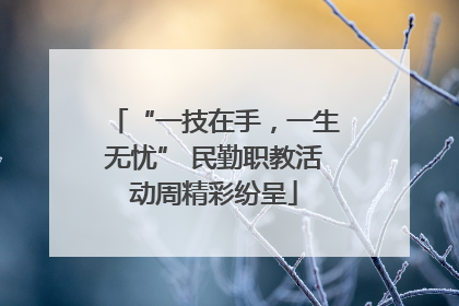 “一技在手，一生无忧” 民勤职教活动周精彩纷呈