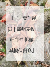 “三夏”视觉｜孟州麦收正当时 机械减损保归仓