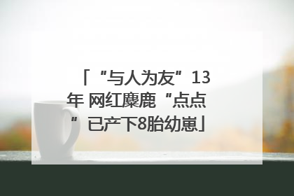 “与人为友”13年 网红麋鹿“点点”已产下8胎幼崽