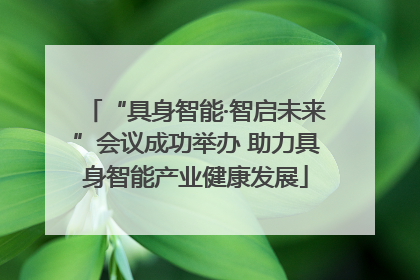 “具身智能·智启未来”会议成功举办 助力具身智能产业健康发展