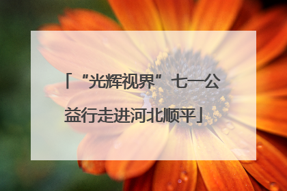 “光辉视界”七一公益行走进河北顺平