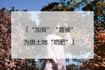 “加餐”“盖被” 为黑土地“增肥”