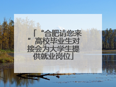 “合肥请您来”高校毕业生对接会为大学生提供就业岗位