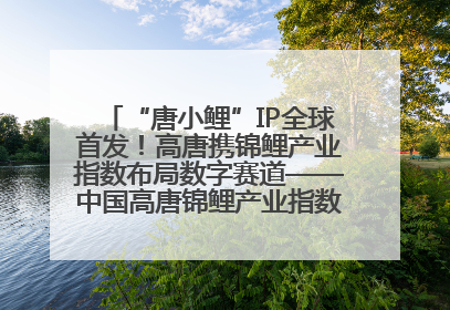 “唐小鲤”IP全球首发！高唐携锦鲤产业指数布局数字赛道——中国高唐锦鲤产业指数暨“唐小鲤”IP全球首发仪式在杭州举行
