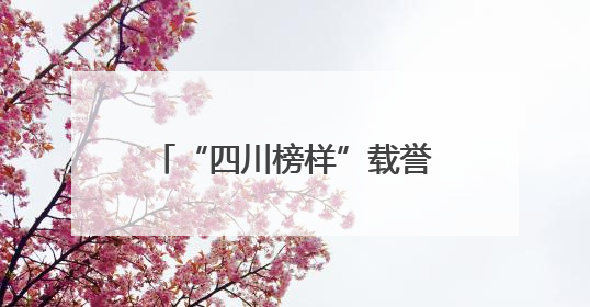 “四川榜样”载誉归来！一起感受他们的温度与力量