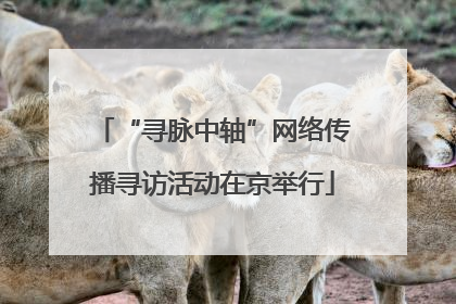 “寻脉中轴”网络传播寻访活动在京举行