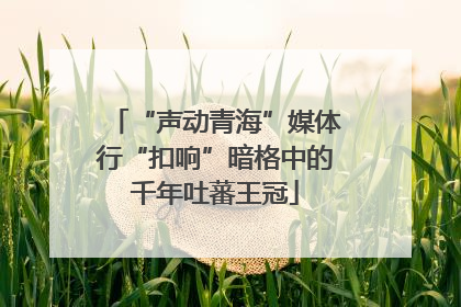 “声动青海”媒体行“扣响”暗格中的千年吐蕃王冠
