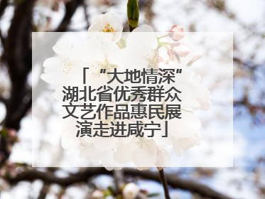 “大地情深”湖北省优秀群众文艺作品惠民展演走进咸宁