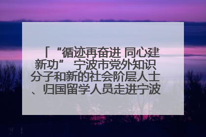 “循迹再奋进 同心建新功” 宁波市党外知识分子和新的社会阶层人士、归国留学人员走进宁波舟山港穿山港区