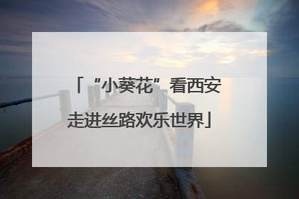 “小葵花”看西安走进丝路欢乐世界