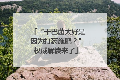 “干巴菌太好是因为打药施肥？”权威解读来了