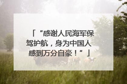 “感谢人民海军保驾护航，身为中国人感到万分自豪！”