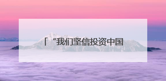 “我们坚信投资中国的决策完全正确”（见证·中国机遇）