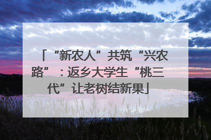“新农人”共筑“兴农路”：返乡大学生“桃三代”让老树结新果