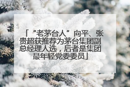 “老茅台人”向平、张贵超获推荐为茅台集团副总经理人选，后者是集团最年轻党委委员