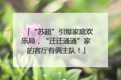 “苏超”引爆家庭欢乐局，“迁迁通通”家的客厅有俩主队！