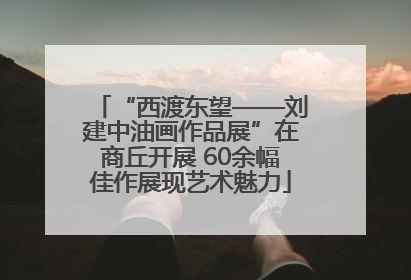 “西渡东望——刘建中油画作品展”在商丘开展 60余幅佳作展现艺术魅力