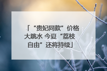 “贵妃同款”价格大跳水 今夏“荔枝自由”还将持续