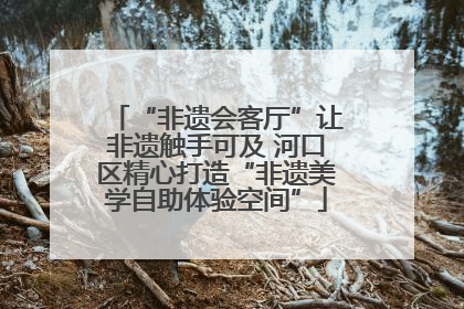 “非遗会客厅”让非遗触手可及 河口区精心打造“非遗美学自助体验空间”