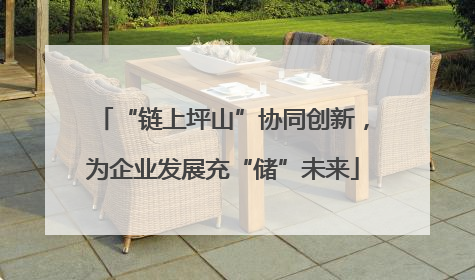 “链上坪山”协同创新，为企业发展充“储”未来