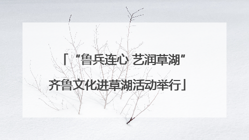 “鲁兵连心 艺润草湖”齐鲁文化进草湖活动举行