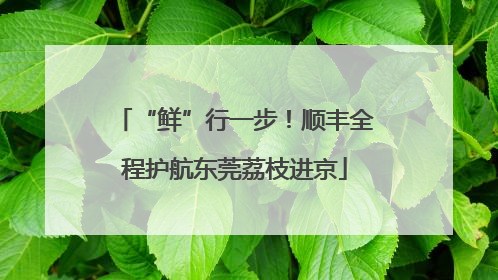 “鲜”行一步！顺丰全程护航东莞荔枝进京