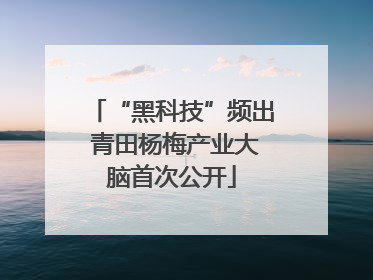 “黑科技”频出 青田杨梅产业大脑首次公开