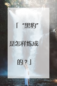 “黑豹”是怎样炼成的？