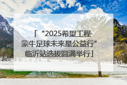“2025希望工程·蒙牛足球未来星公益行”临沂站选拔圆满举行