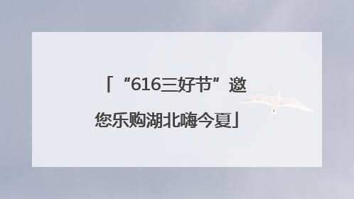 “616三好节”邀您乐购湖北嗨今夏