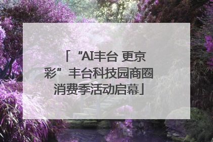 “AI丰台 更京彩”丰台科技园商圈消费季活动启幕