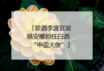 珍酒李渡官宣姚安娜担任白酒“申遗大使”