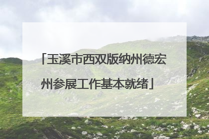 玉溪市西双版纳州德宏州参展工作基本就绪
